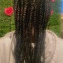 Loc Maintenance, Loc Re-twist, Two Strand Twist