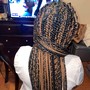 Poetic Justice Braids