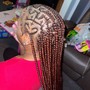 Half up, half down braids (any style)