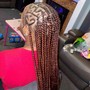 Half up, half down braids (any style)