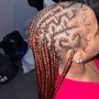 Half up, half down braids (any style)