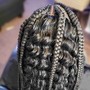 Braids /Sew In