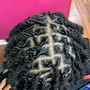 Sisterlocks Consultation