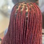 Knotless Senegalese Twist waists length