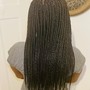 Box Braids/Twists with natural hair