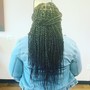 jumbo Senegalese twist