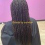 Senegalese Twists- extra small