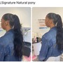 Updo/ponytail