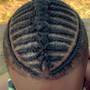 Natural Comb Twists