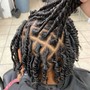 Starter Locs (Short)