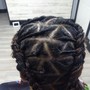 Comb coils starter locs( consult required)