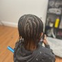 Root Touch Up