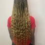 Wash / Braid Down