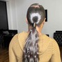 Ponytail Style