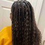 Boy Braids * Top Half