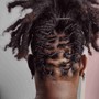 Famu/tcc/fsuWORKS ! Loc Wash,  Re-twist, style