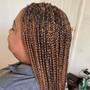 Kid's Braids 2