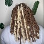 Shoulder length / bob BUTTERFLY DISTRESSED LOCS