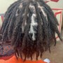 Starter Locs