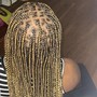 6-8 feed in braids