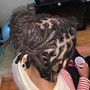 Starter Locs/ Comb Twist