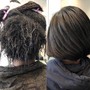 Root Touch Up