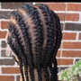 Individual Braids