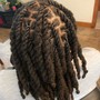 Loc Retwist-Shaved Sides