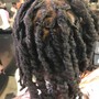 Root Touch Up