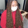 Passion Twists (Hair Included)