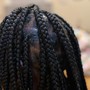 Natural Twists/box braids