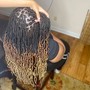 Medium Senegalese Twist