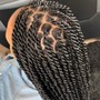 Medium Senegalese Twist