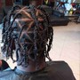 Starter Locs