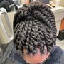 Tree Braids