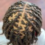 Starter Locs