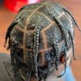 Starter Locs