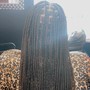 Kid's Box Braids/ Knotless Braids