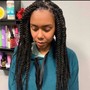 Havana/Marley Twists (Medium)