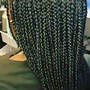 Medium Box Braids