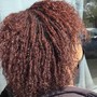 Root Touch Up