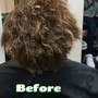 Basic Style back and sides cut down