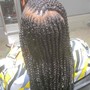 Tribal/Fulani/Feed In Braids