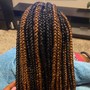 Jumbo Box Braids . Large