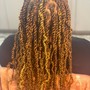 Passion Twist / Regular Twist