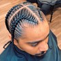 2 Strand Twists/Plaits