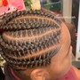 Braids Into Ponytail