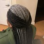 Tree Braids