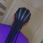 Stitch Braids/Straight Backs/ Feed Ins