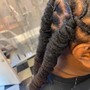 Twist Out protective style